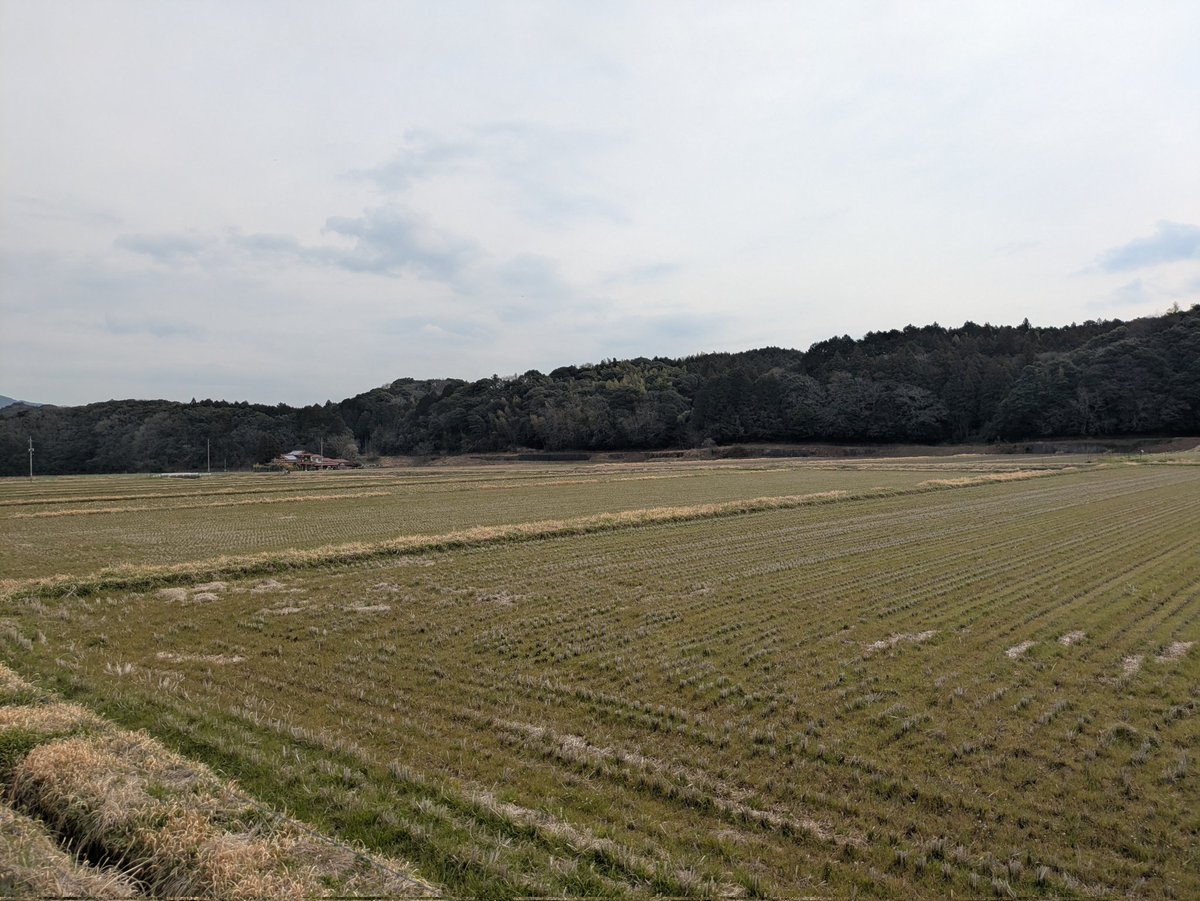 なまお😺＠ゾーン行橋今井店店長 tweet media