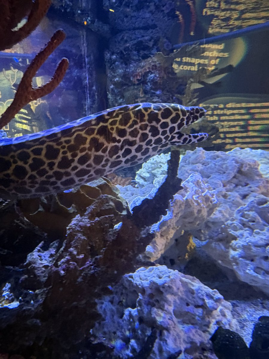 Kien 💛 tweet media