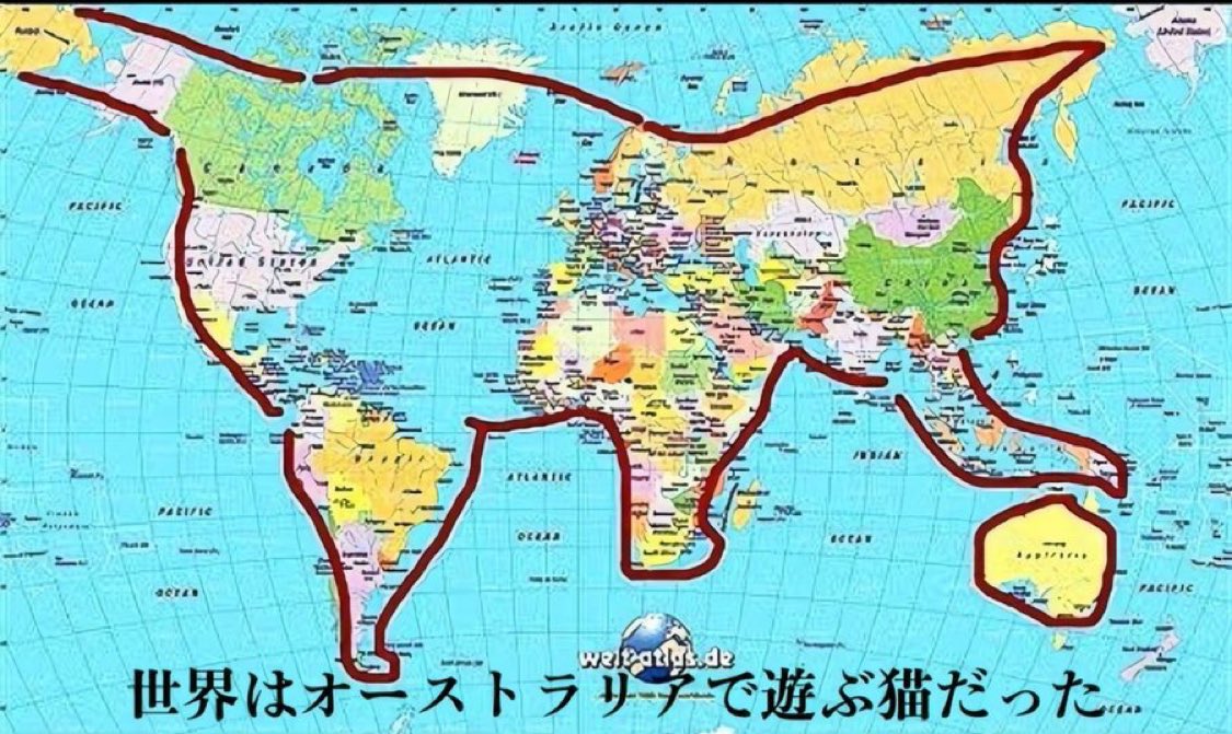 ずっと見ていたい動画 tweet media