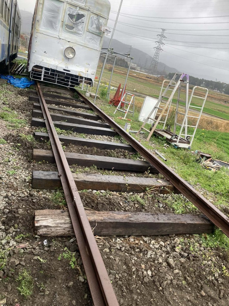 てっしぃ～ tweet media