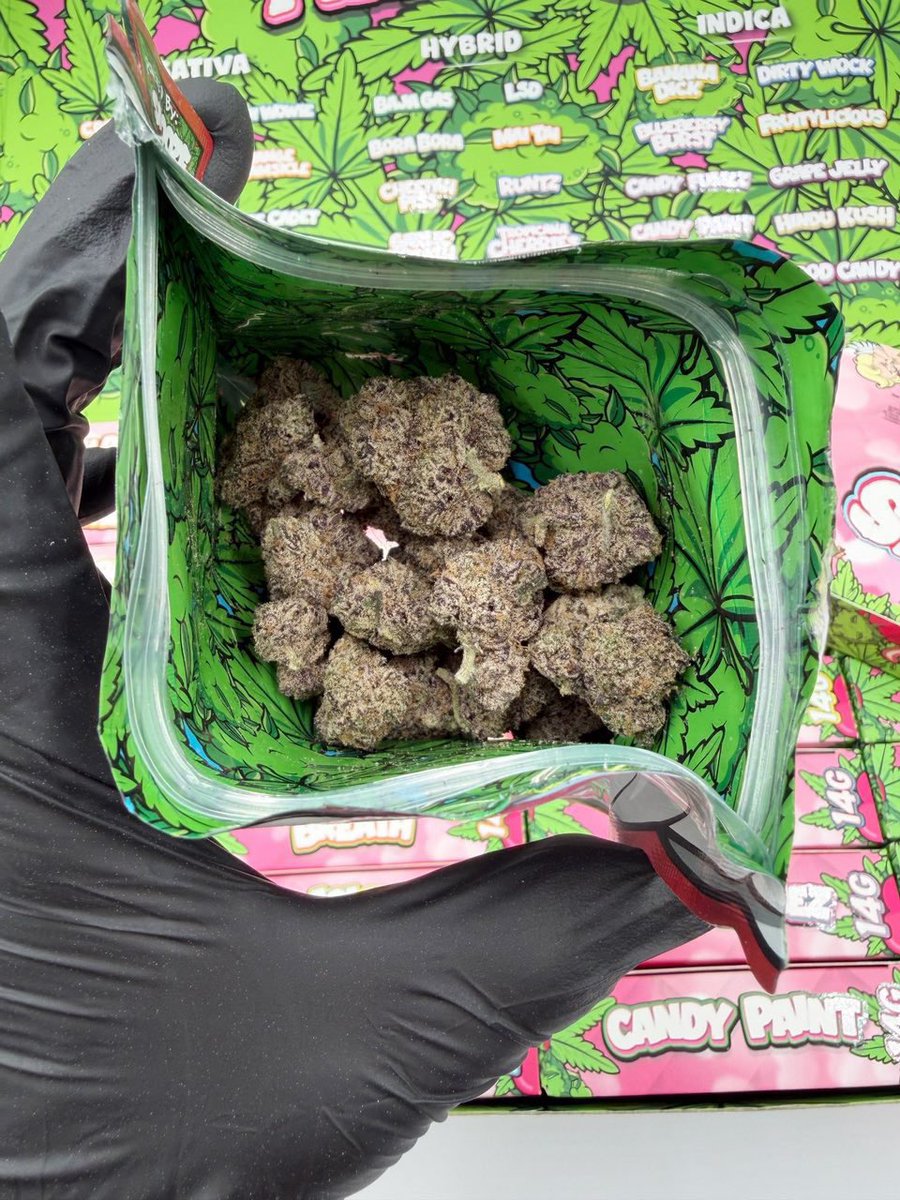 weed___paris_'s tweet photo. Weed Newcastle Weed North Tyneside Weed North Shields  Weed Whitley Bay Weed Tynemouth Weed Wallsend
Weed Killingworth Weed Forest Hall
Weed Monkseaton Weed Cullercoats
Weed South Shields Weed Jarrow Weed Hebburn  Weed Boldon  Weed Gateshead Town Weed Dunston Weed Felling Weed https://t.co/0OymkE6Vuc