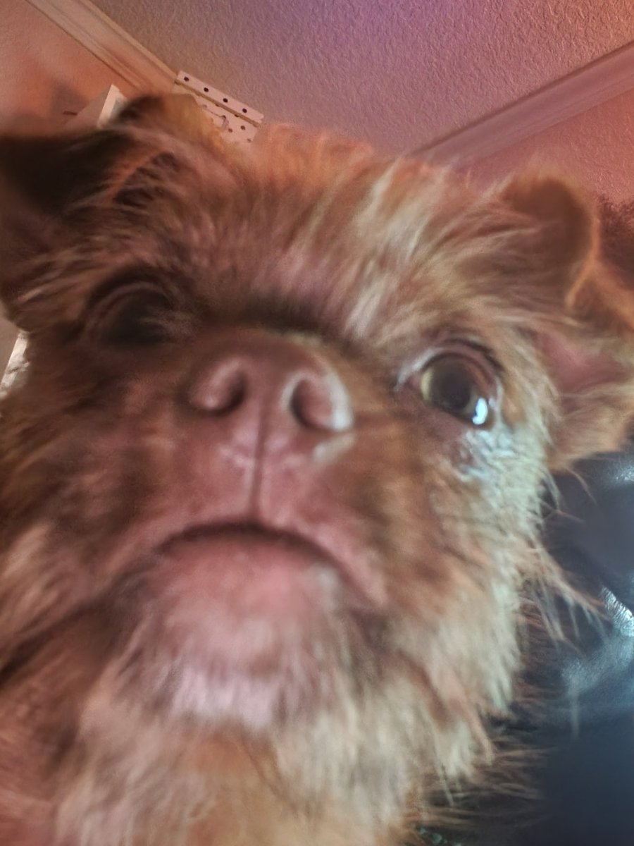 bethany baptiste tweet media