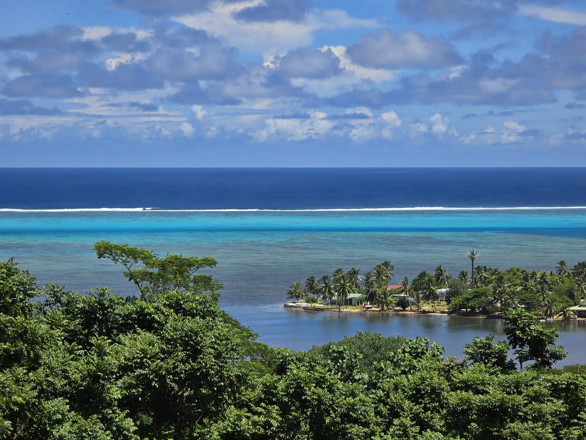 Nadejda Pommier tweet media