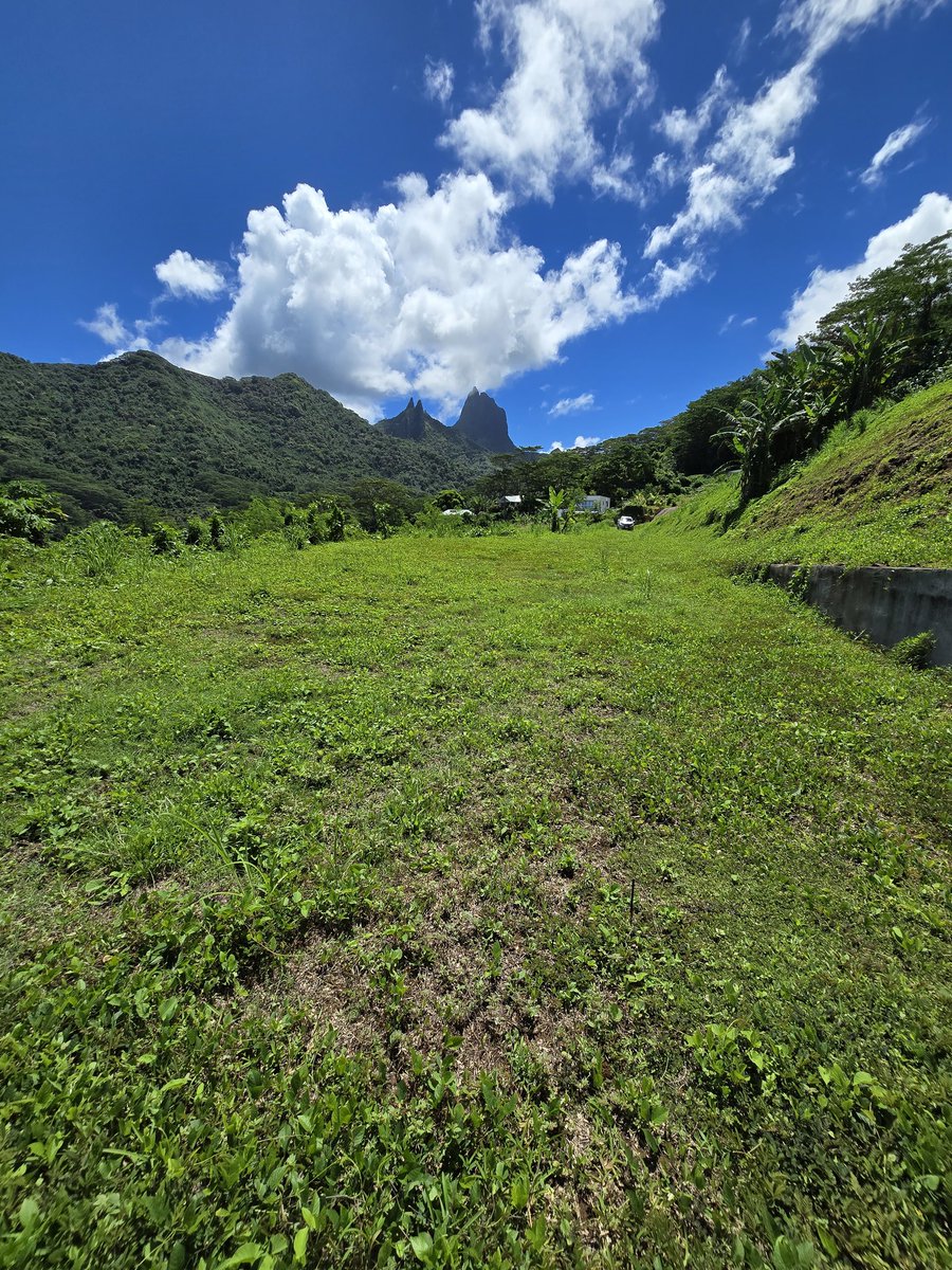 Nadejda Pommier tweet media