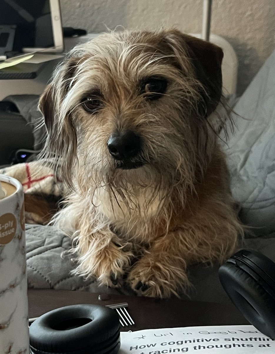 Bill Becker tweet media