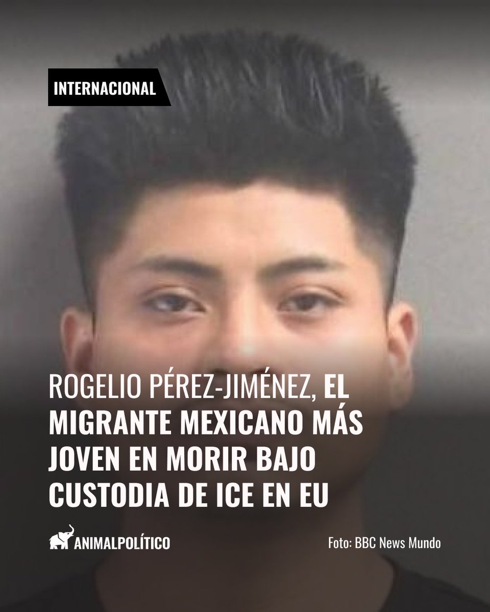 Animal Político tweet media