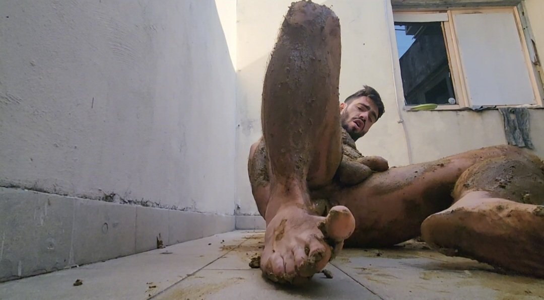 KingScat tweet media