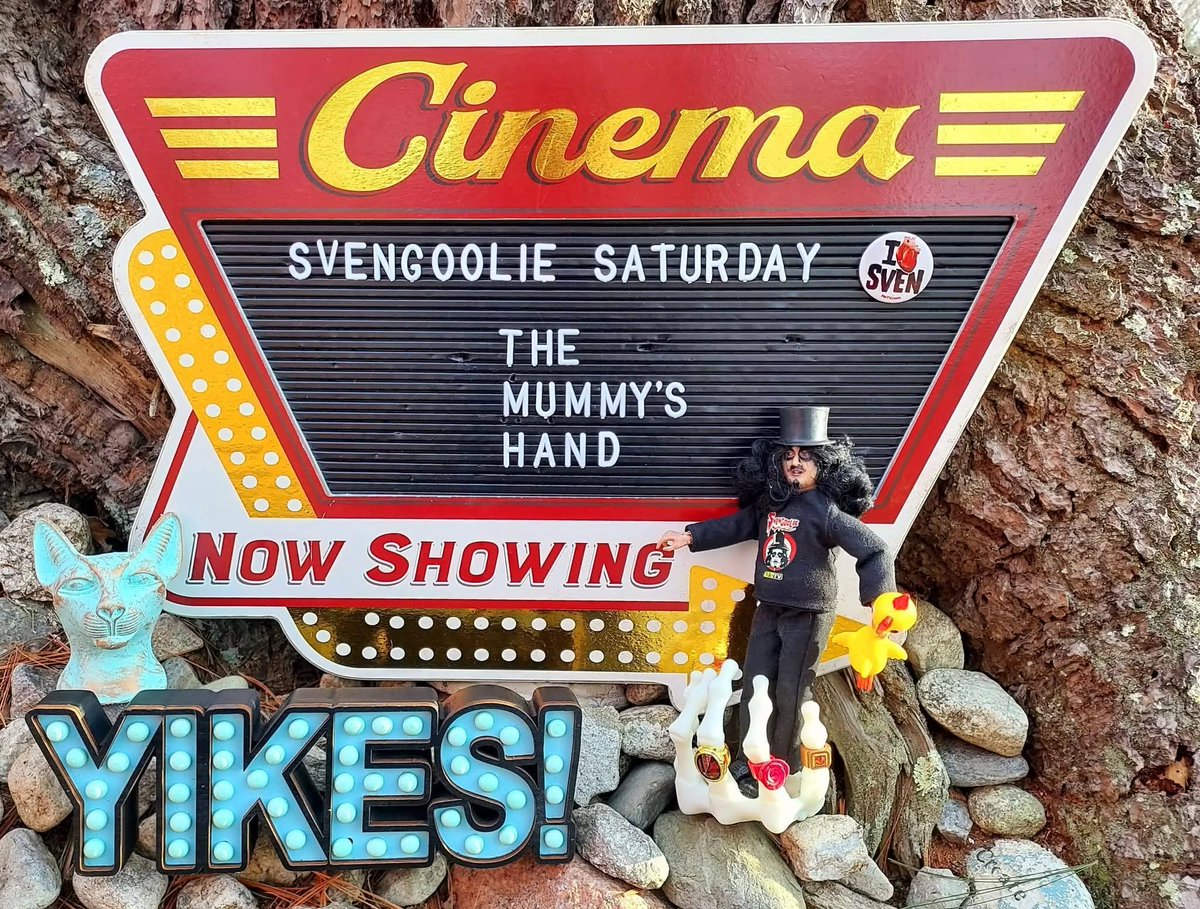 Diane Fassett tweet media