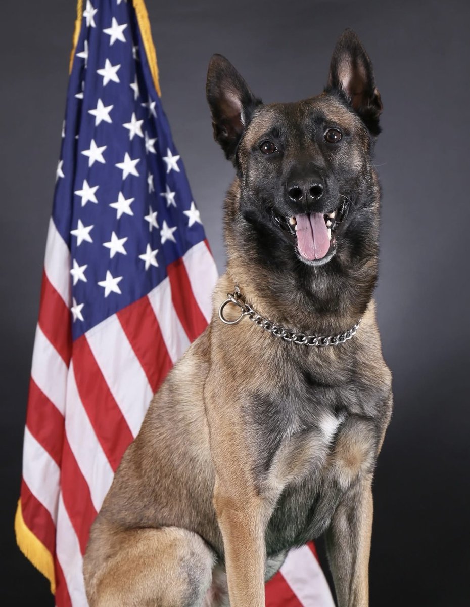 Military Support tweet media