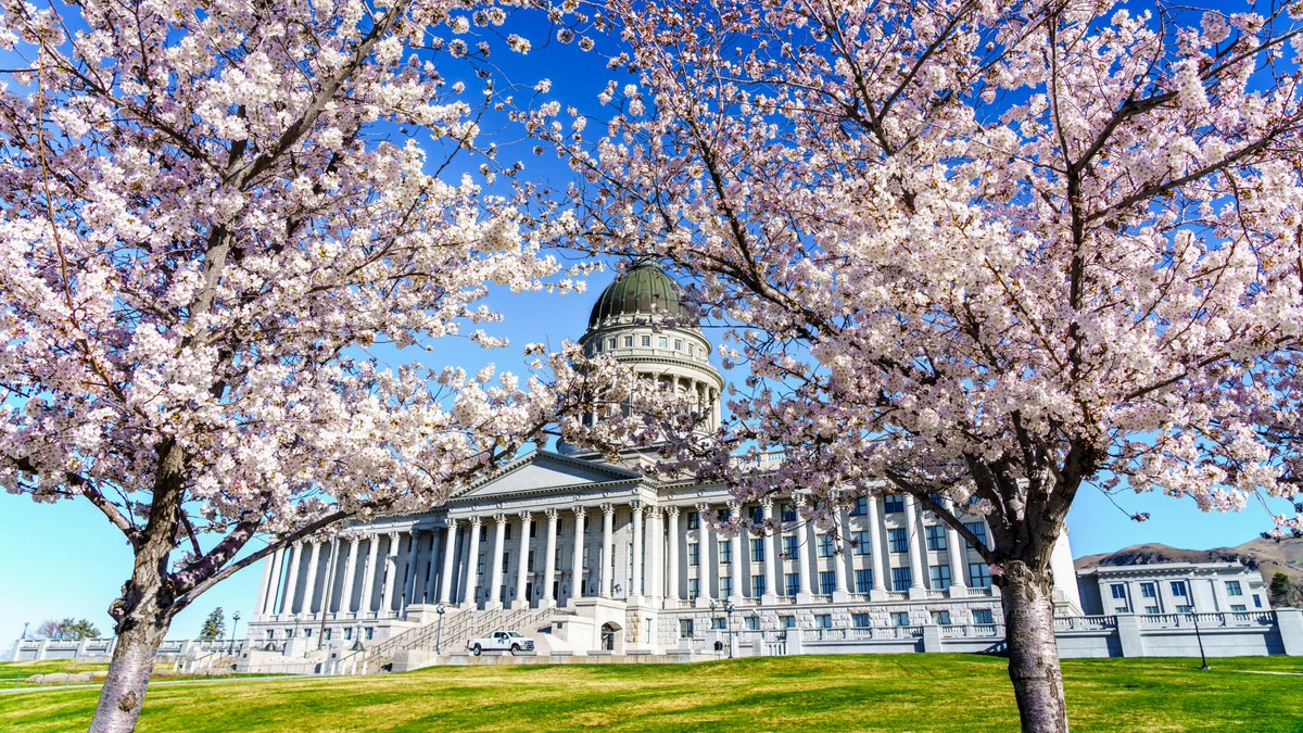 Dan Pope tweet media