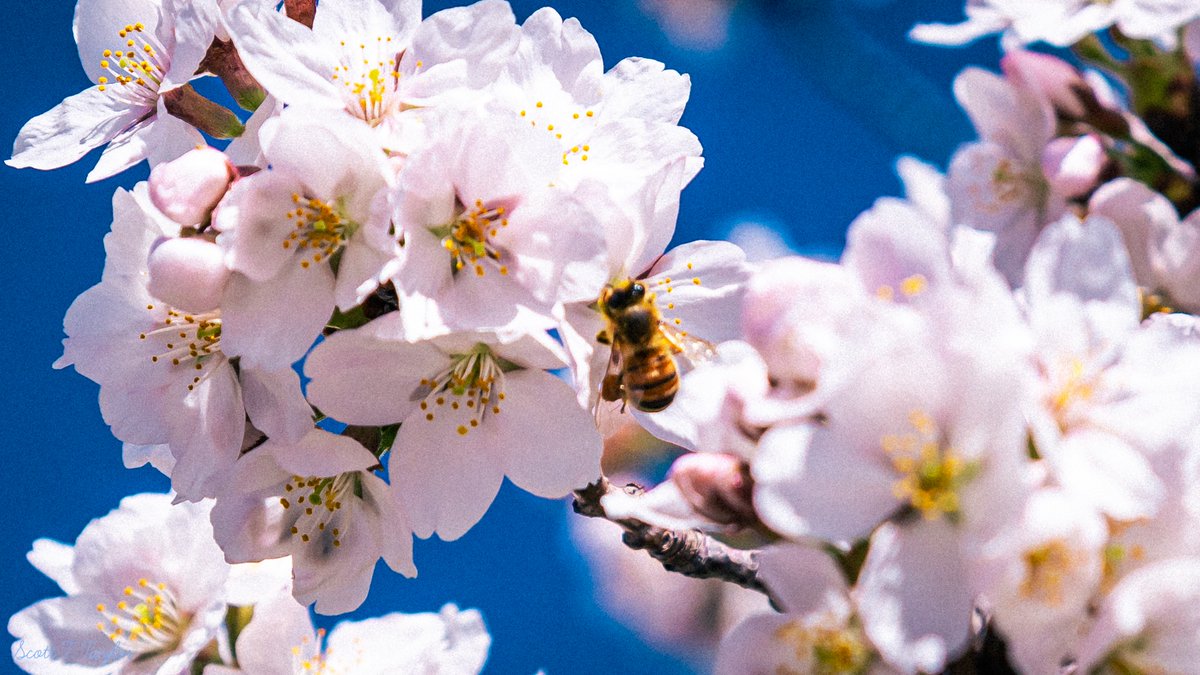 Dan Pope tweet media