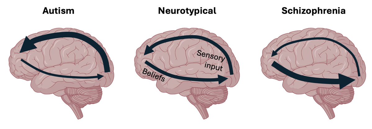 Mitchell B Slapik tweet media