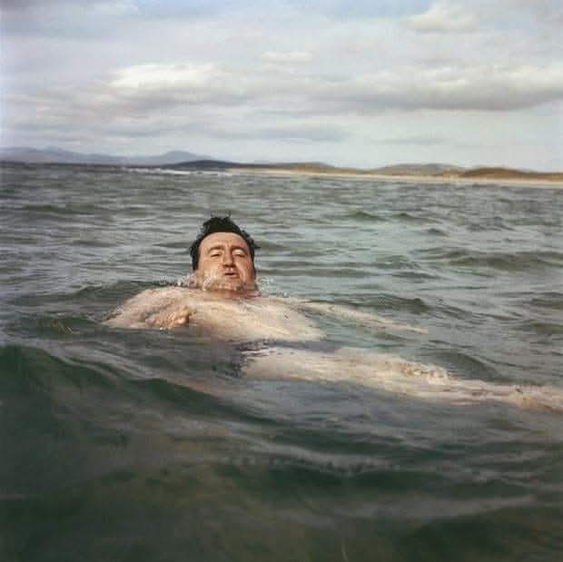 Patrick Hawe tweet media