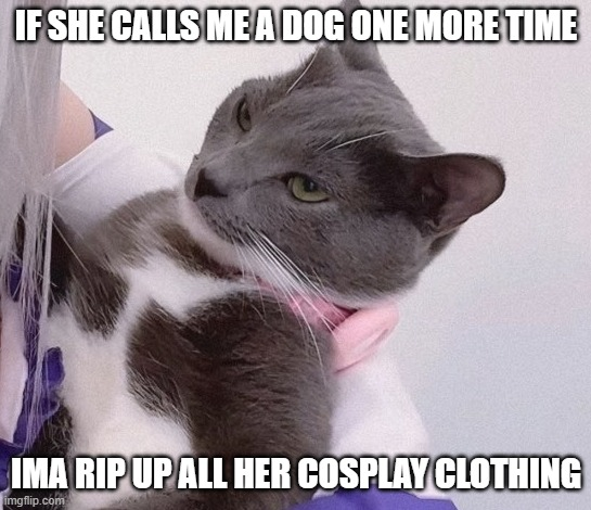 Chris Taylor tweet media