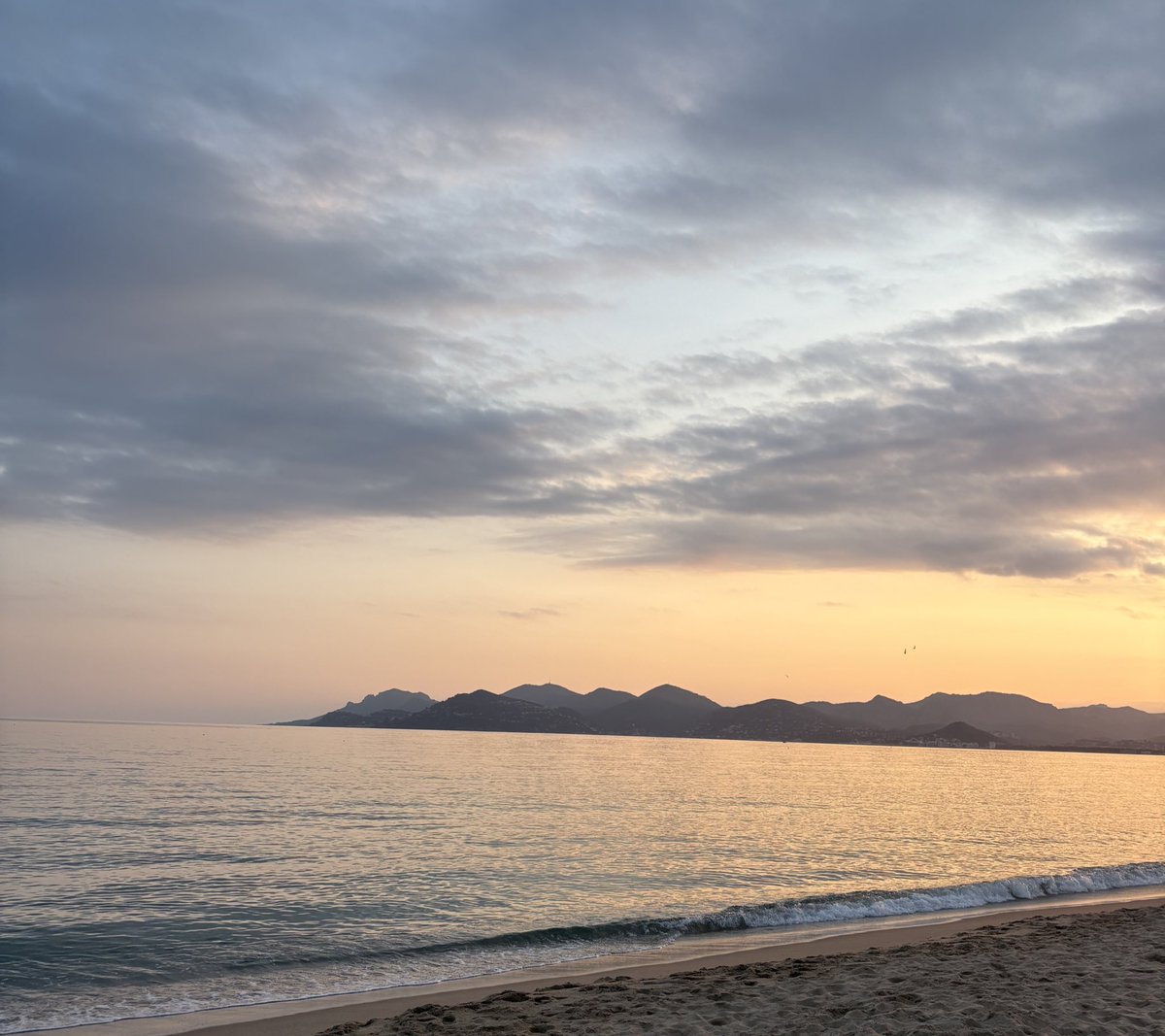 Laurence Bottero tweet media