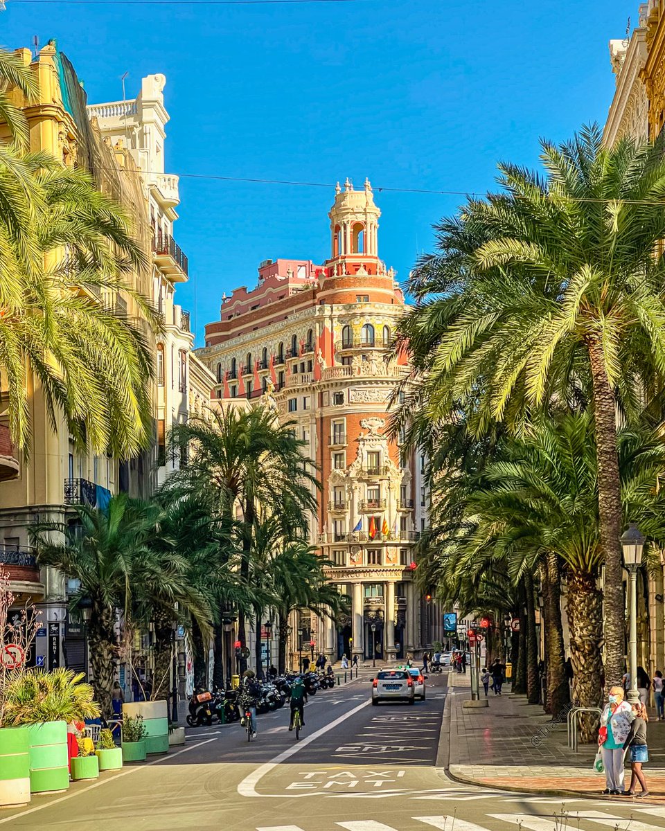 ReNature🦋 tweet media