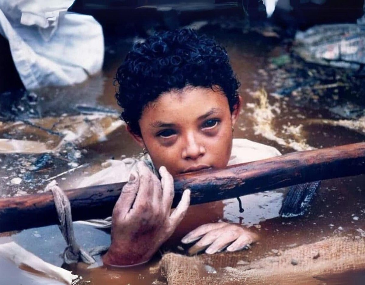 Le Contemplateur tweet media