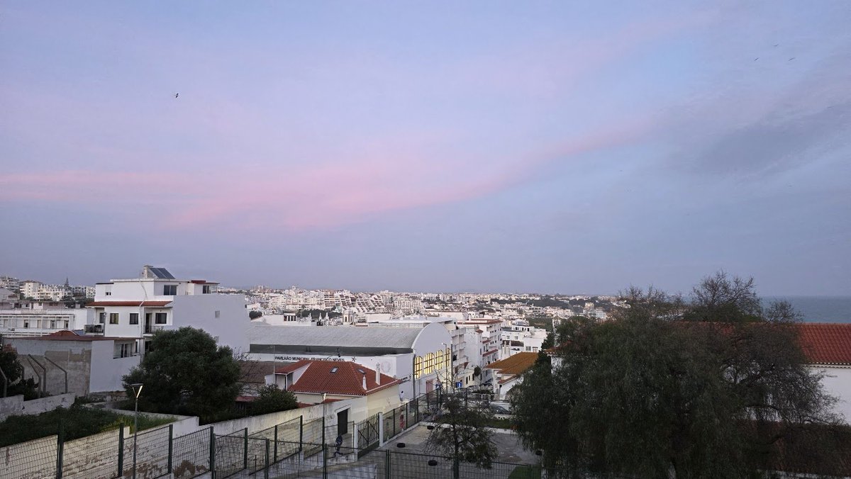 William Connolly tweet media