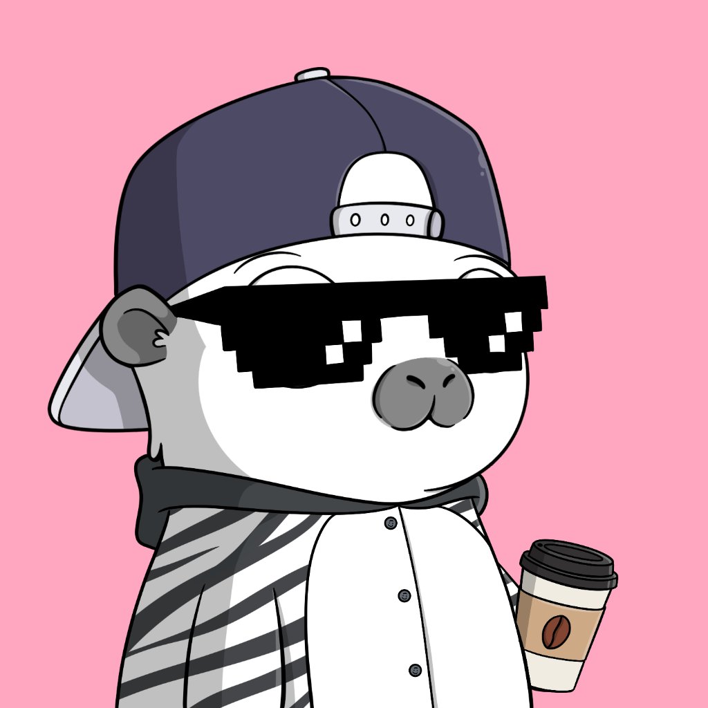 CapyCamp HQ tweet media