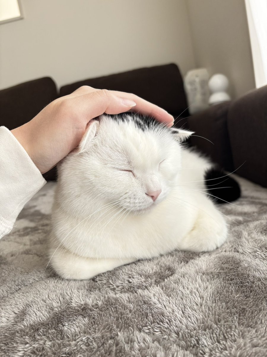 まつもとたける tweet media