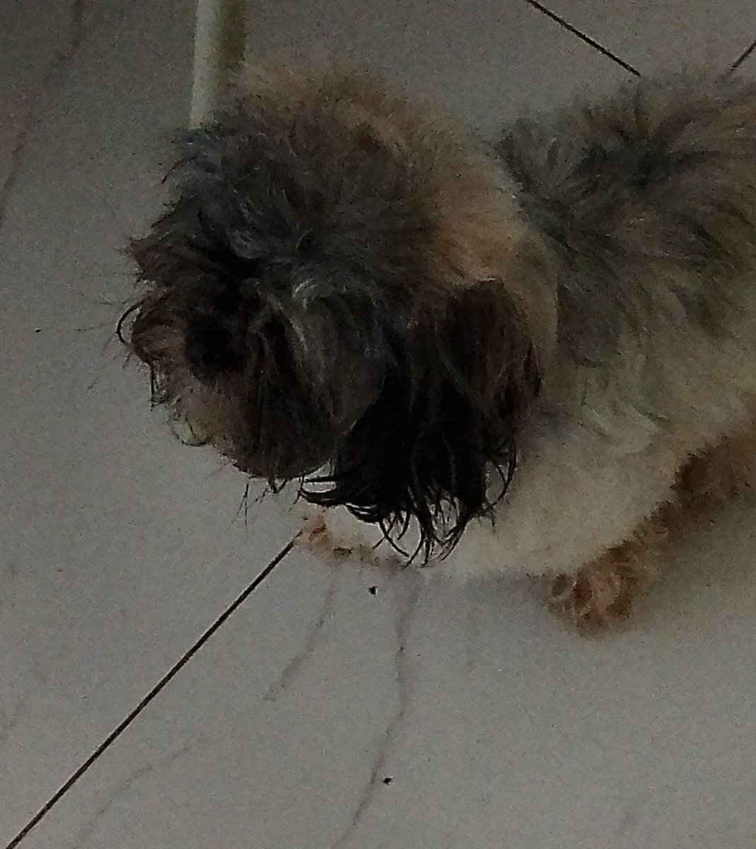 Luana Preços #P4R tweet media