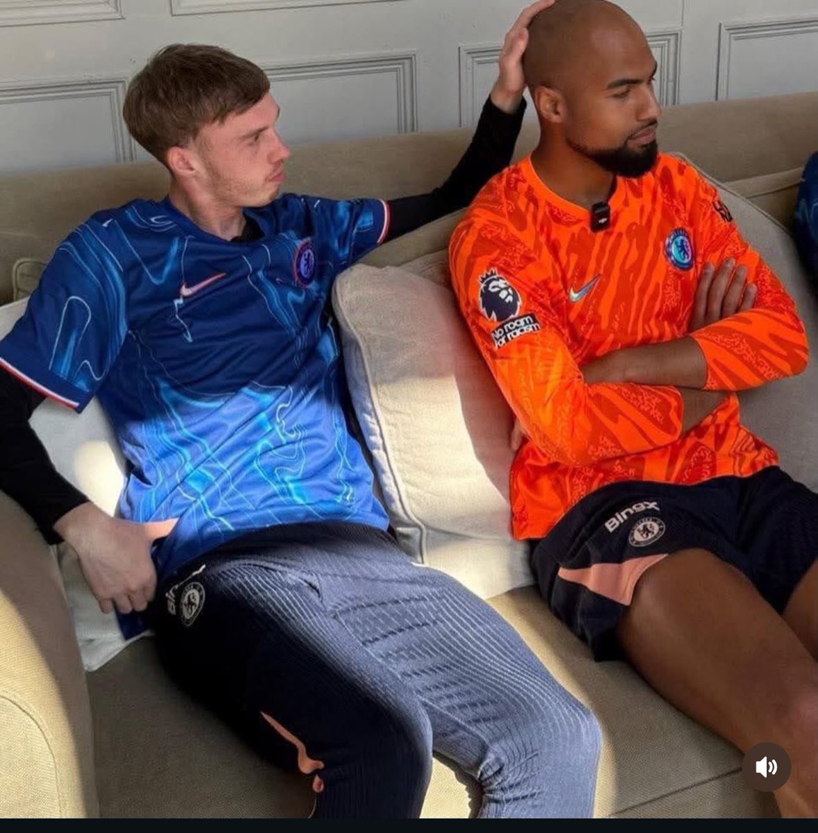 Certified Stoner 🐻 🐳 tweet media