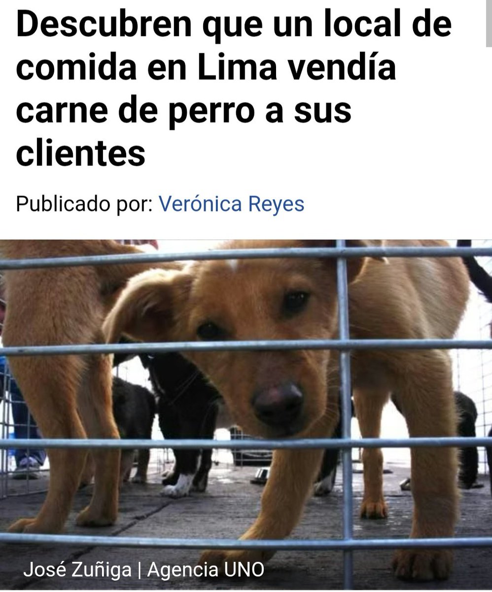 𝑪𝒉𝒓𝒊𝒔𝒕𝒐𝒑𝒉𝒆𝒓 𝑯𝒆𝒓𝒏𝒂́𝒏 tweet media