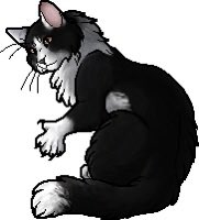 daily warrior cats pairs! tweet media