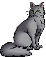 daily warrior cats pairs! tweet media