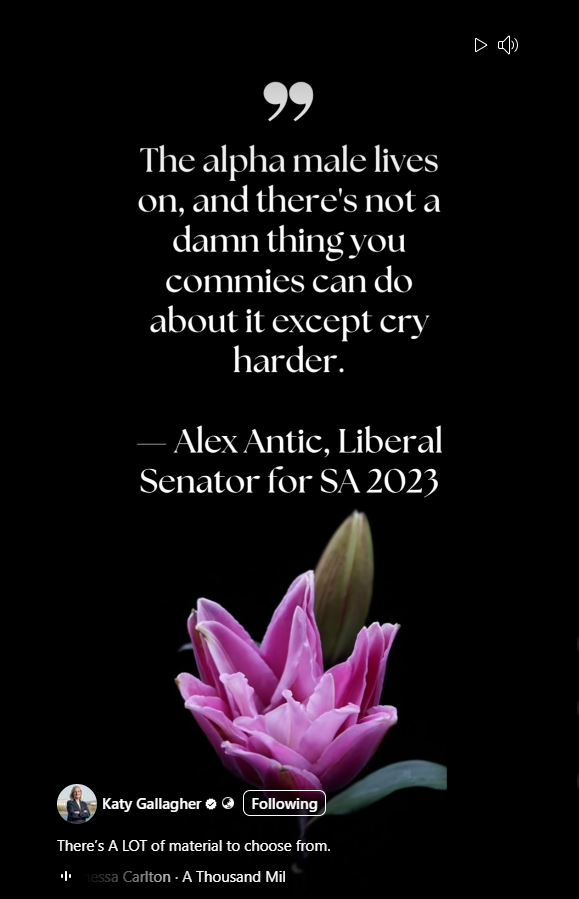 Oh Dear! @rationalbitch tweet media