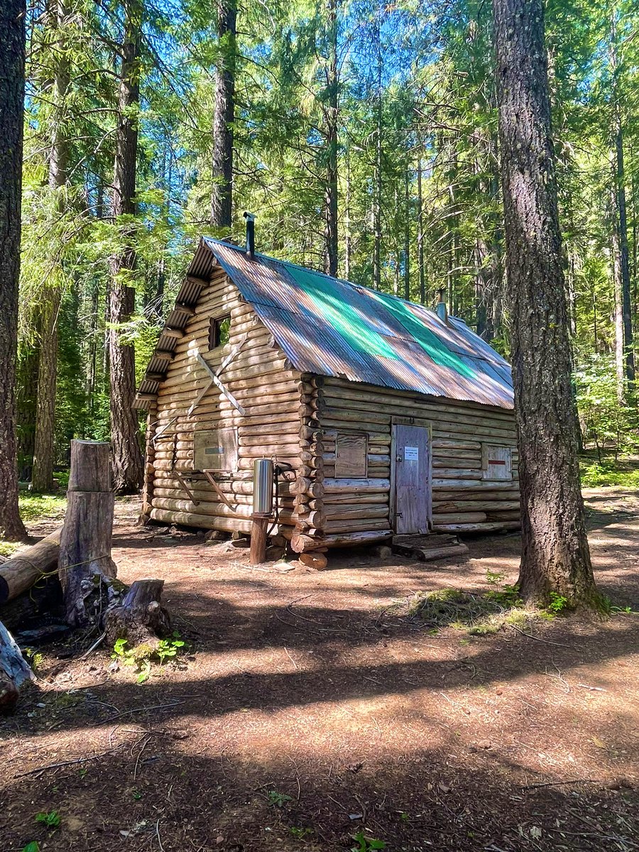 Bronze Goat tweet media