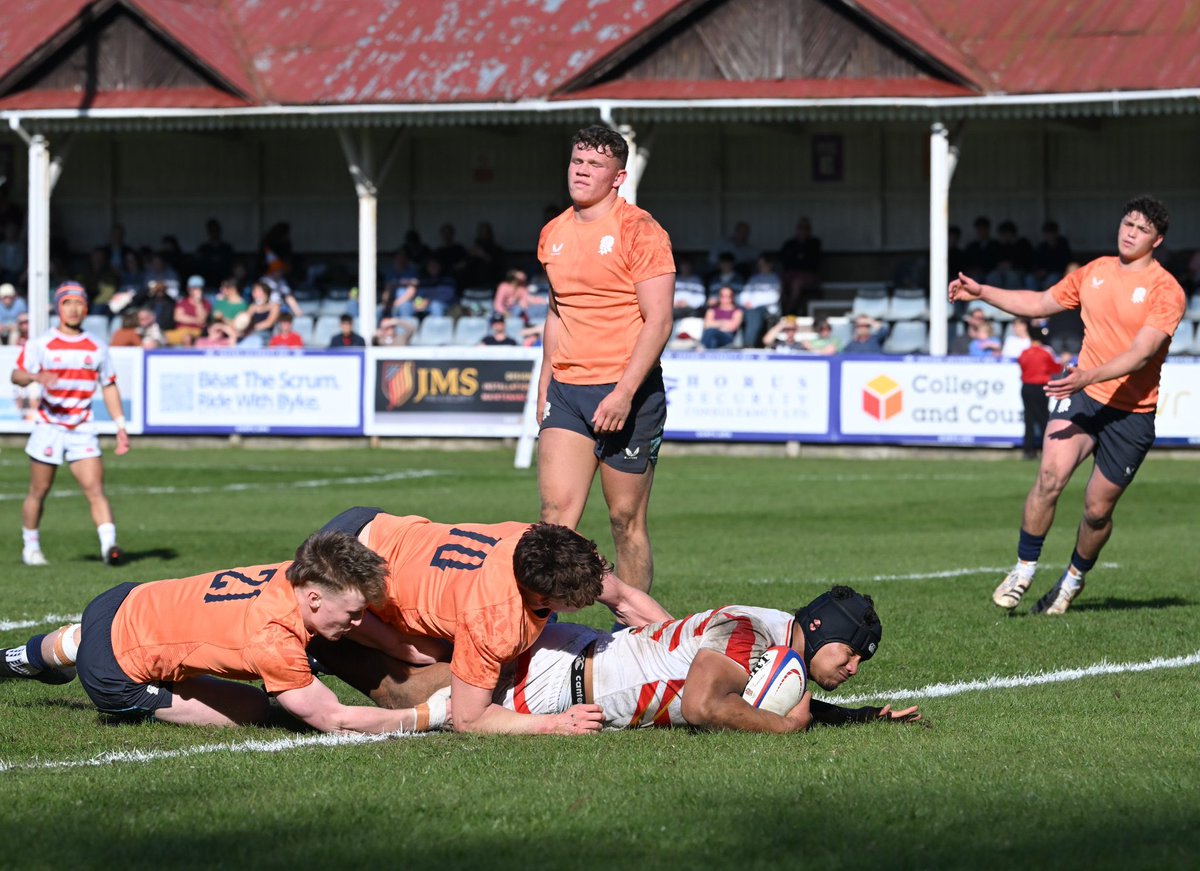 Japan Rugby tweet media