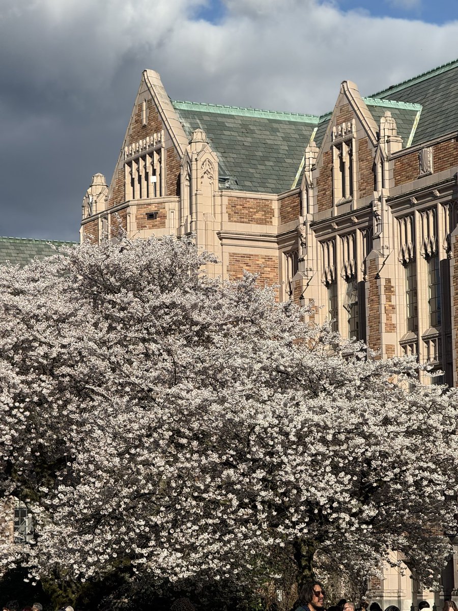 sydney 🏳️⚧️ tweet media