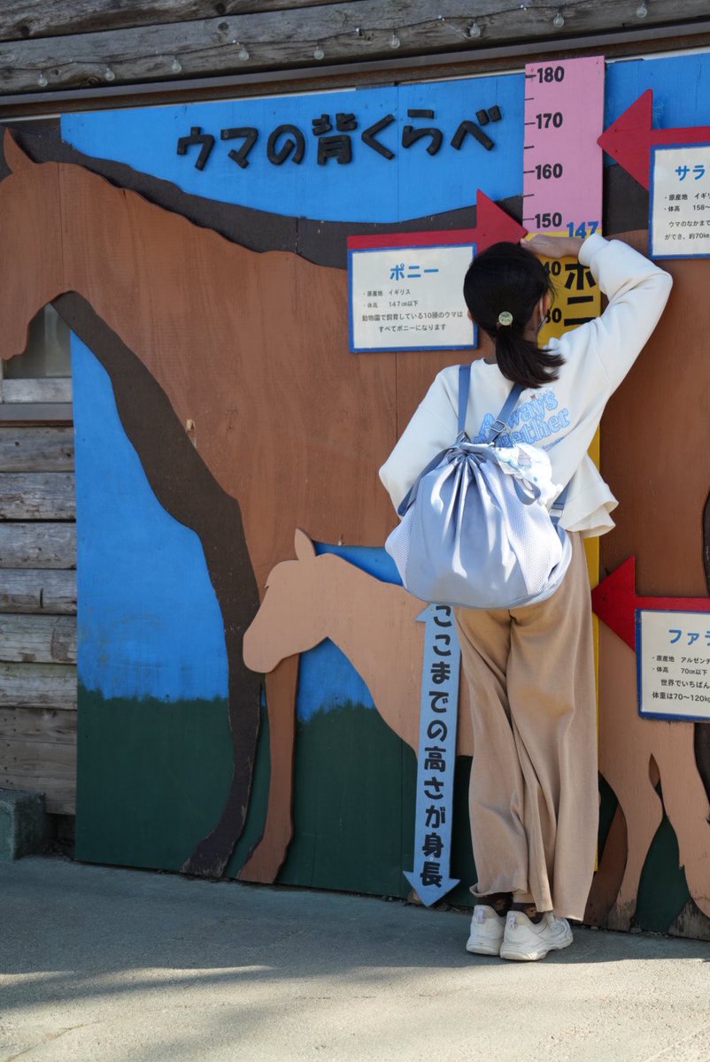 サギフエ🦁 tweet media