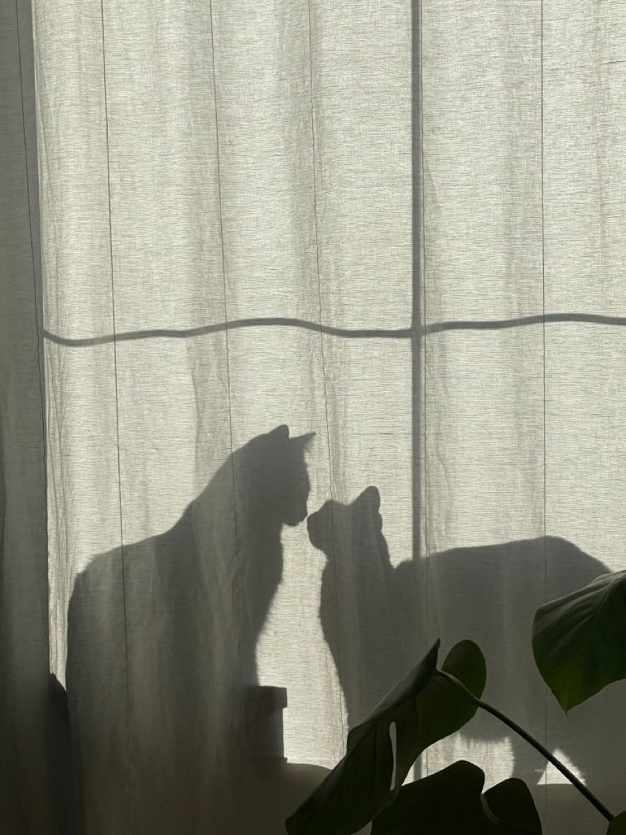 fabi ✠ 📖 tweet media