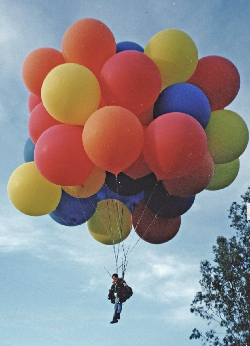 新西兰大肥鸠kererū tweet media