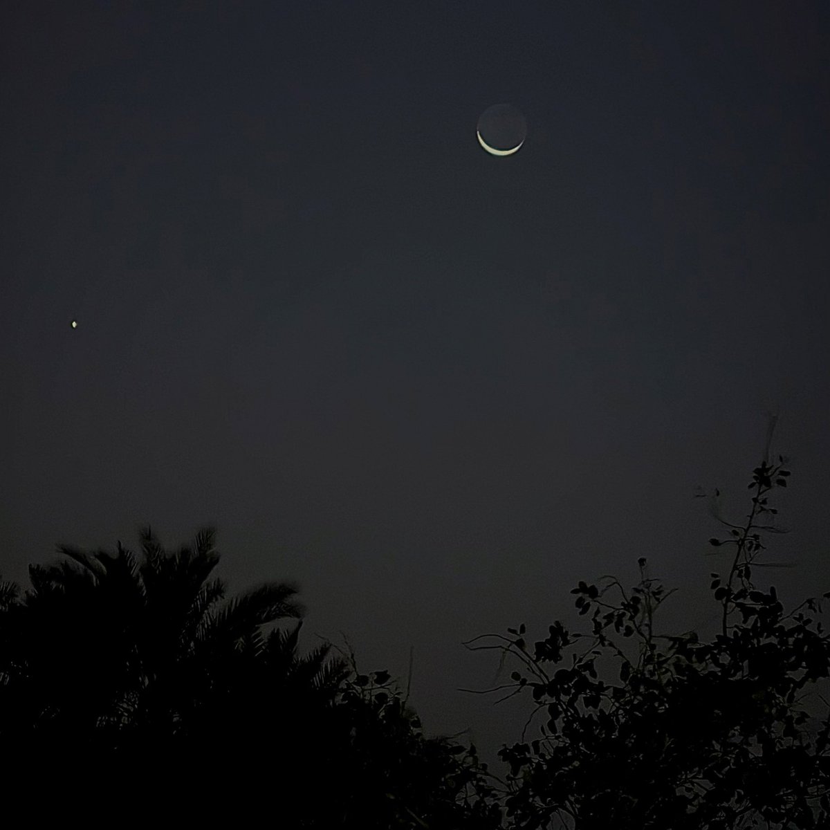 حلوٌ تعتريهِ مرَارَةْ tweet media