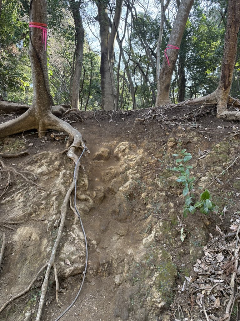 今から破線ルート入ります🏔