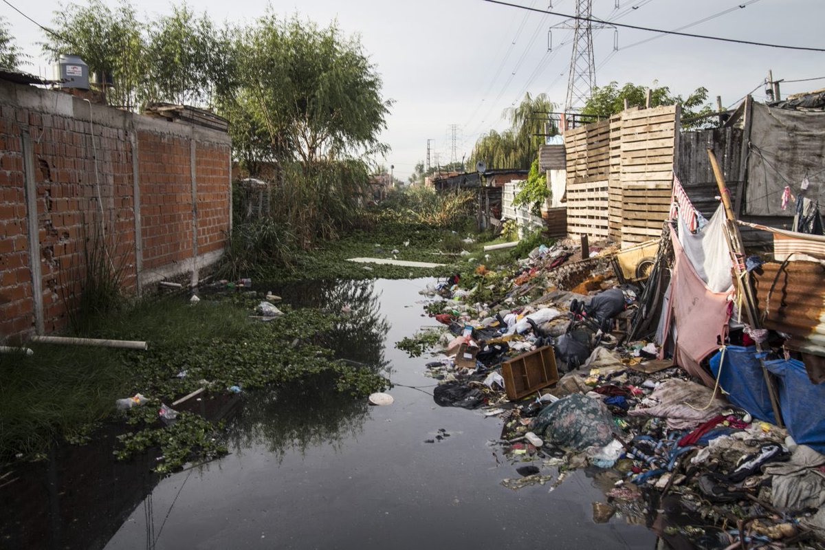 El Pitudo tweet media