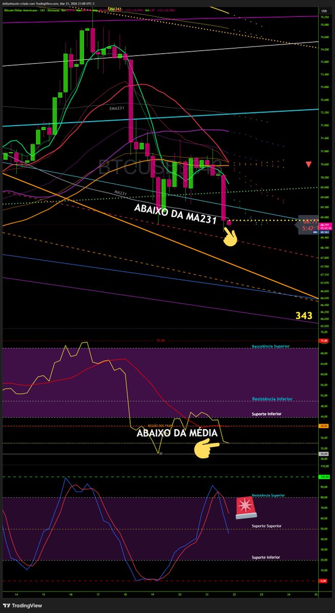 Dollynho tweet media