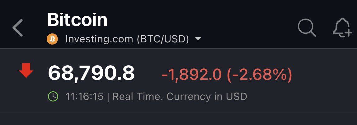 The Great Martis tweet media