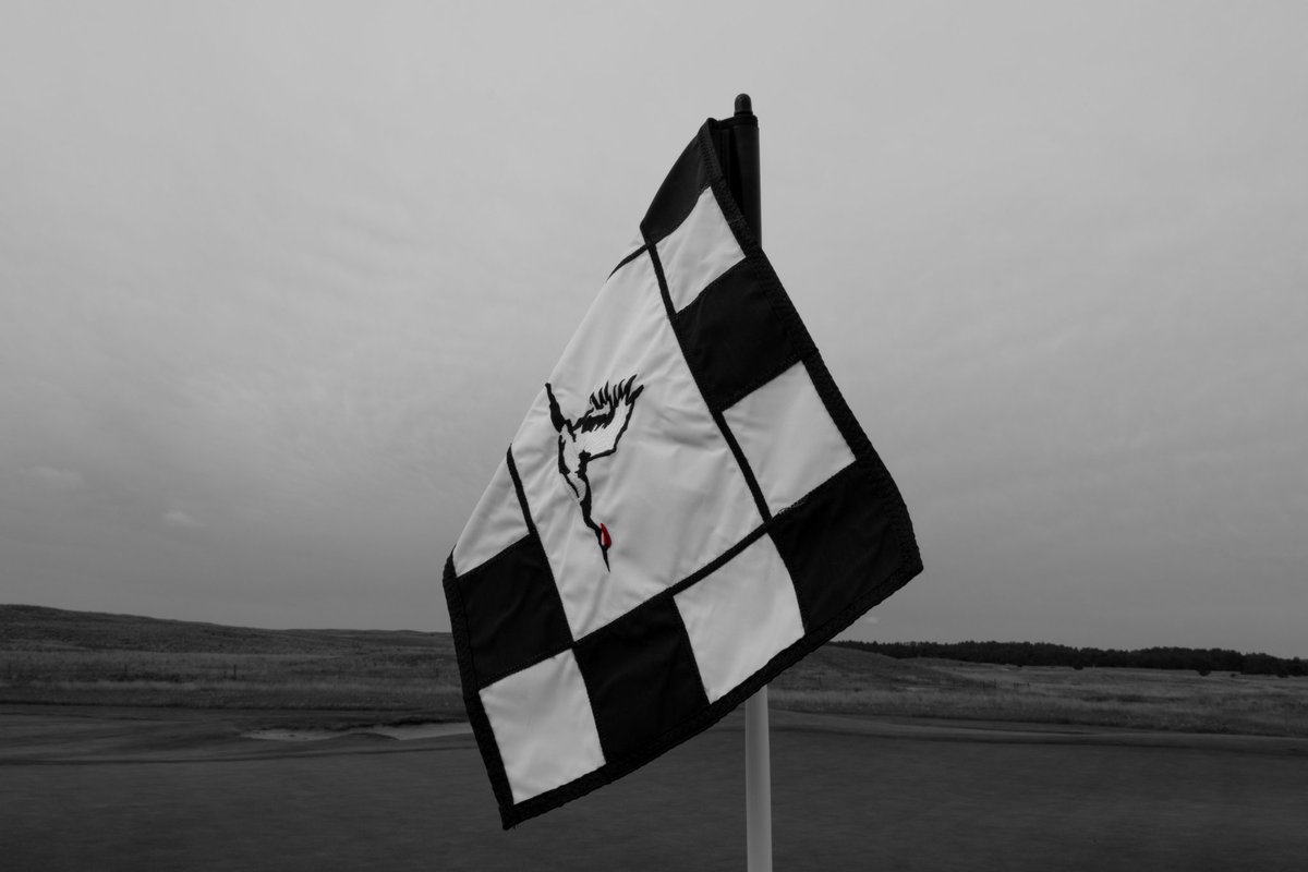Daily Nebraska Golf Pics tweet media
