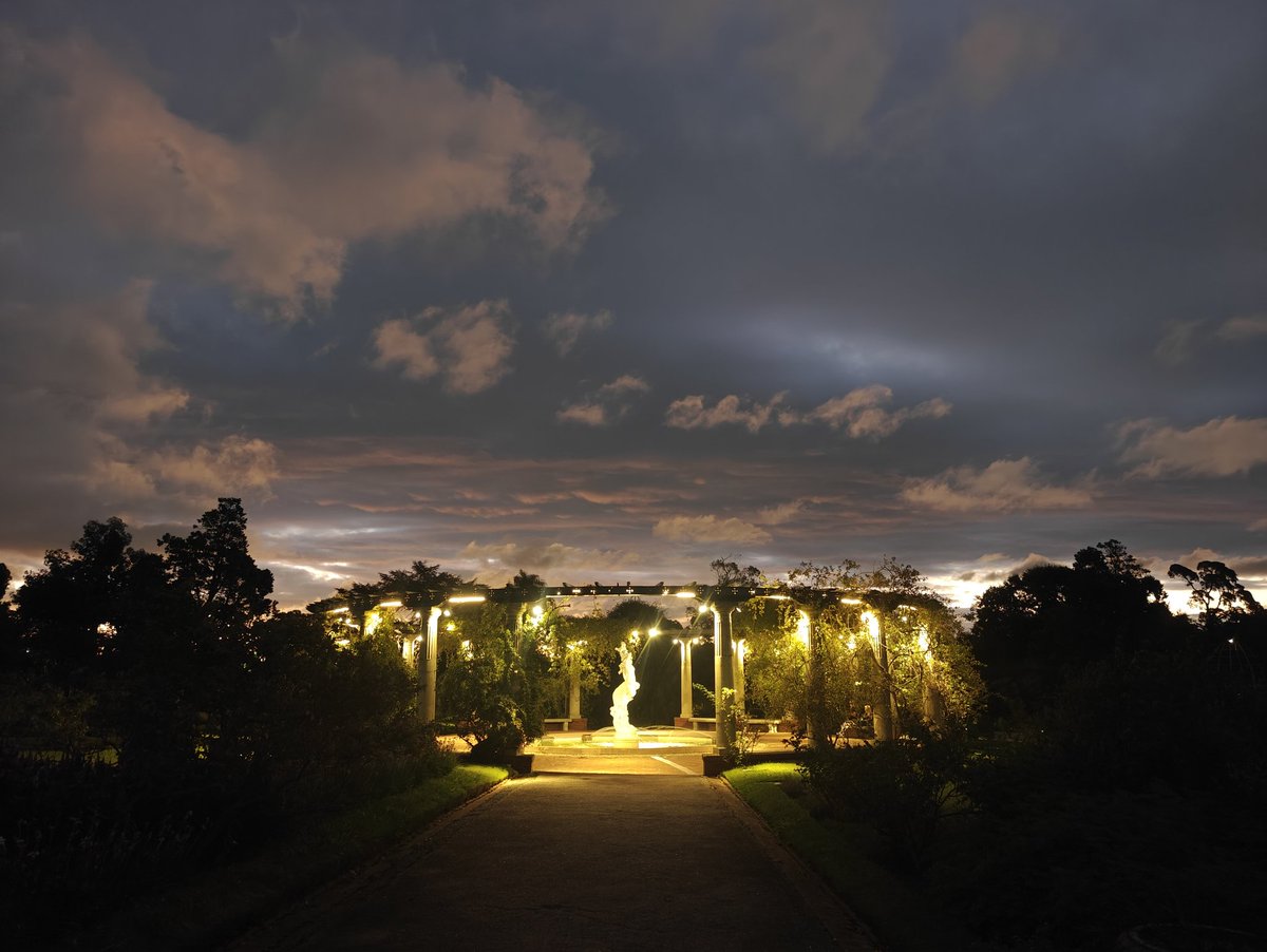 Fernando Caceres tweet media