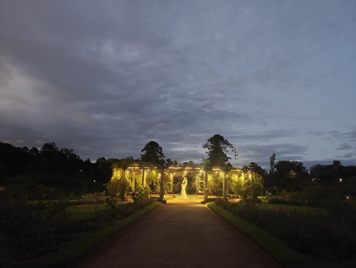 Fernando Caceres tweet media