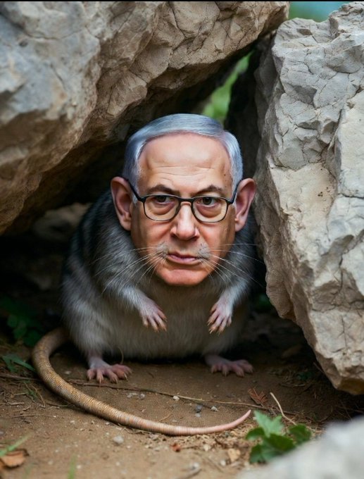 Liza🌪🚩🦉 tweet media