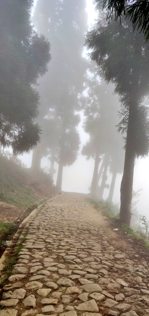 Ananth_IRAS's tweet image. Fog: nature’s way of adding a little mystery to the day.

QP or Share your foggy clicks! #fog #Photography