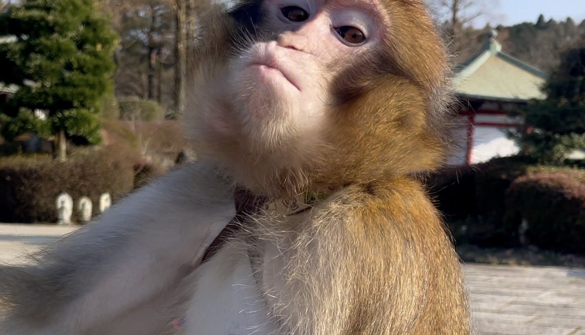 水野有彩 tweet media