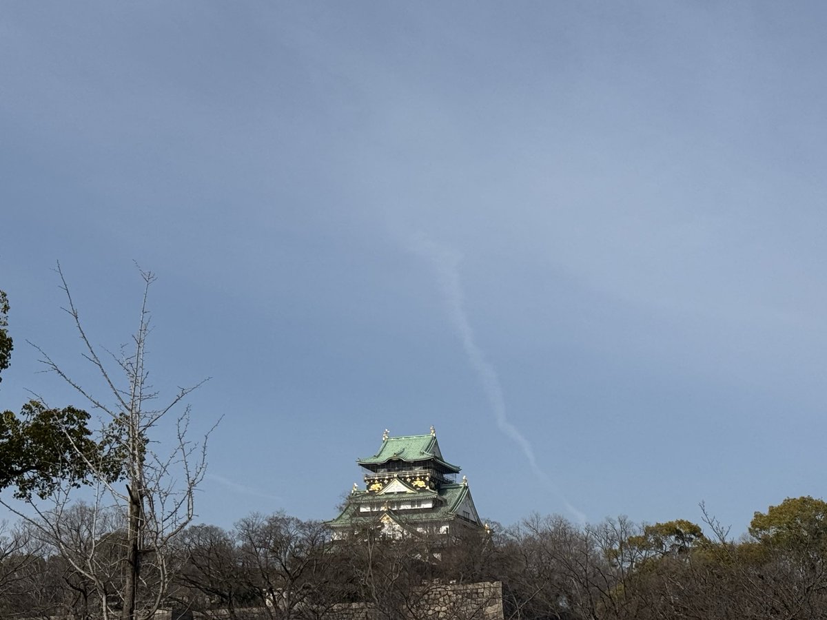 モンゴ tweet media