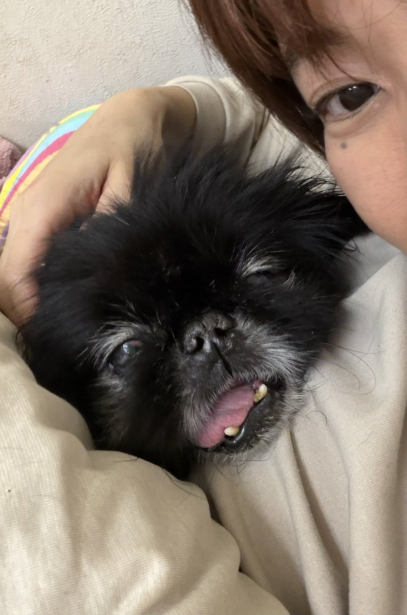 𝚒𝚗𝚔𝚘 tweet media