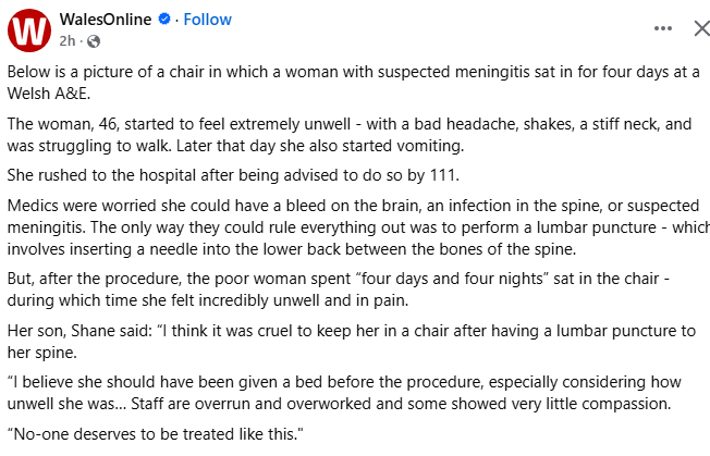 Cat (CovidSolidarity) tweet media